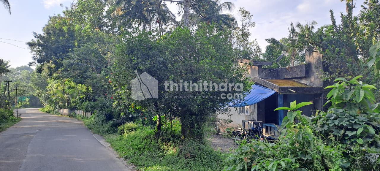 Residential Land Available for Sale in Kunnathunad Ernakulam