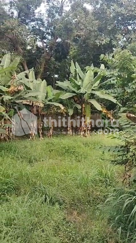 Residential Land Available for Sale in Shornur Palakkad