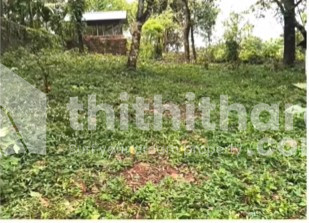 Residential Land Available for Sale in Taliparamba Kannur