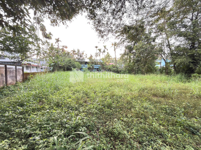 Residential Land Available for Sale in Kodungallur Thrissur