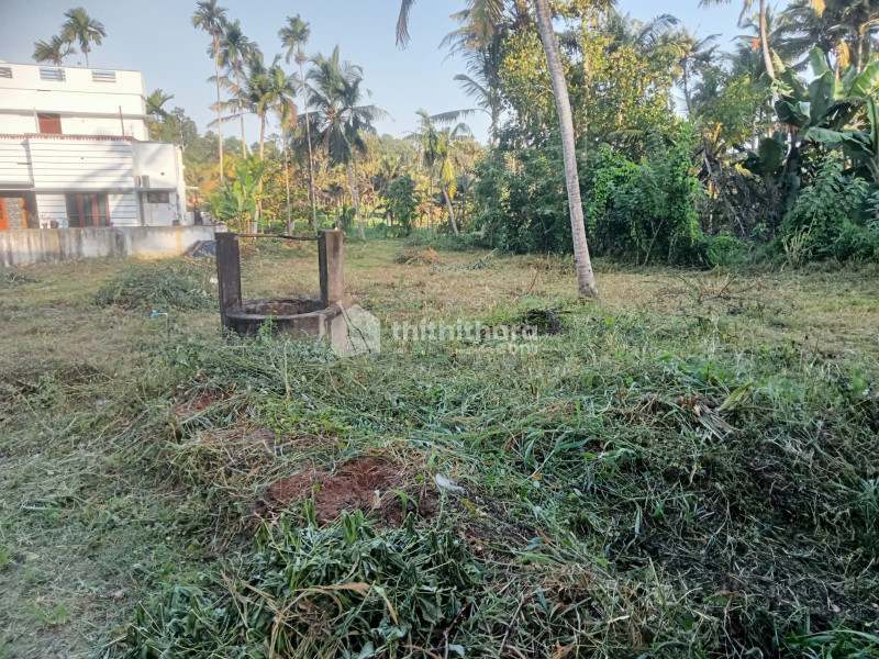 Residential Land Available for Sale in Neyyattinkara Thiruvananthapuram