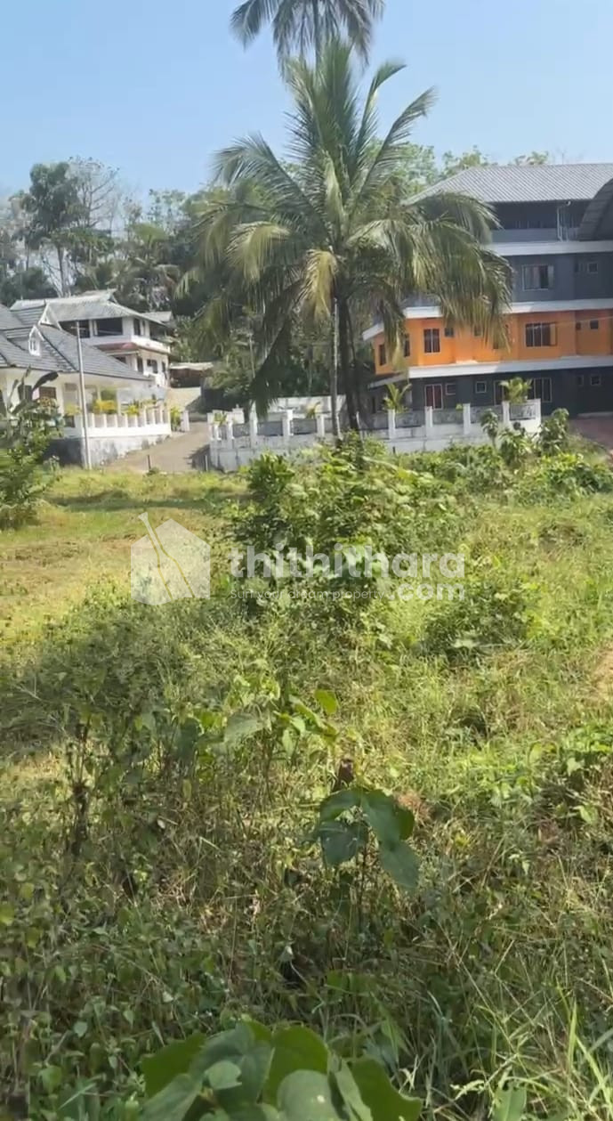 Residential Land Available for Sale in Pala Kottayam