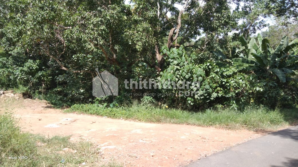 Residential Land Available for Sale in Nedumangad Thiruvananthapuram