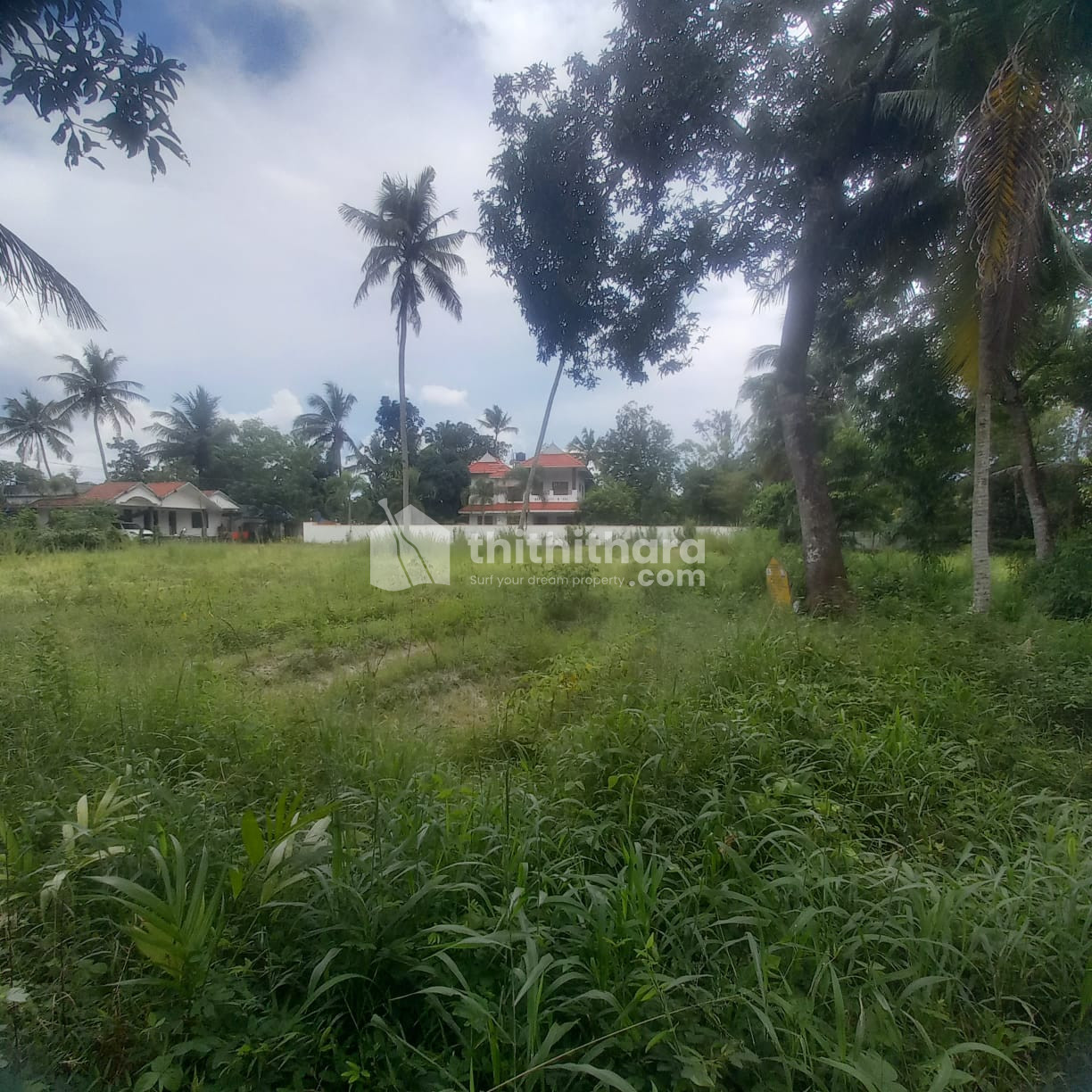 Residential Land Available for Sale in Cherthala Alappuzha