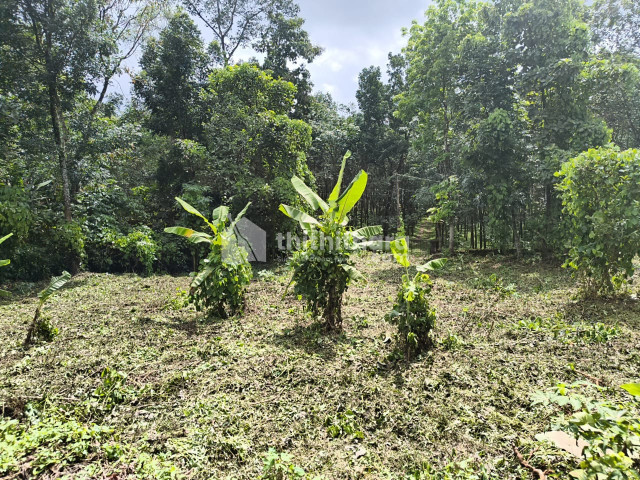 Commercial Plot Available for Sale in Meenachil Kottayam