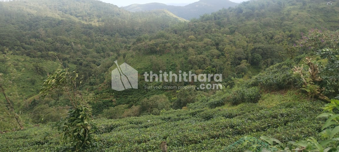 Agricultural Land Available for Sale in Peerumedu Idukki