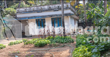 3BHK Independent House for sale in Tripunithura Ernakulam 