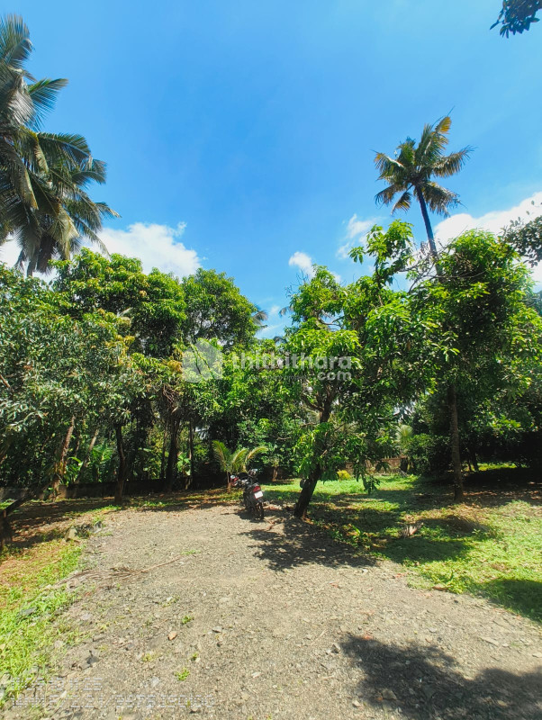 Residential Land Available for Sale in Mannuthy Thrissur 