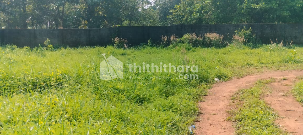 Residential Land Available for Sale in Nellikunnu Thrissur 