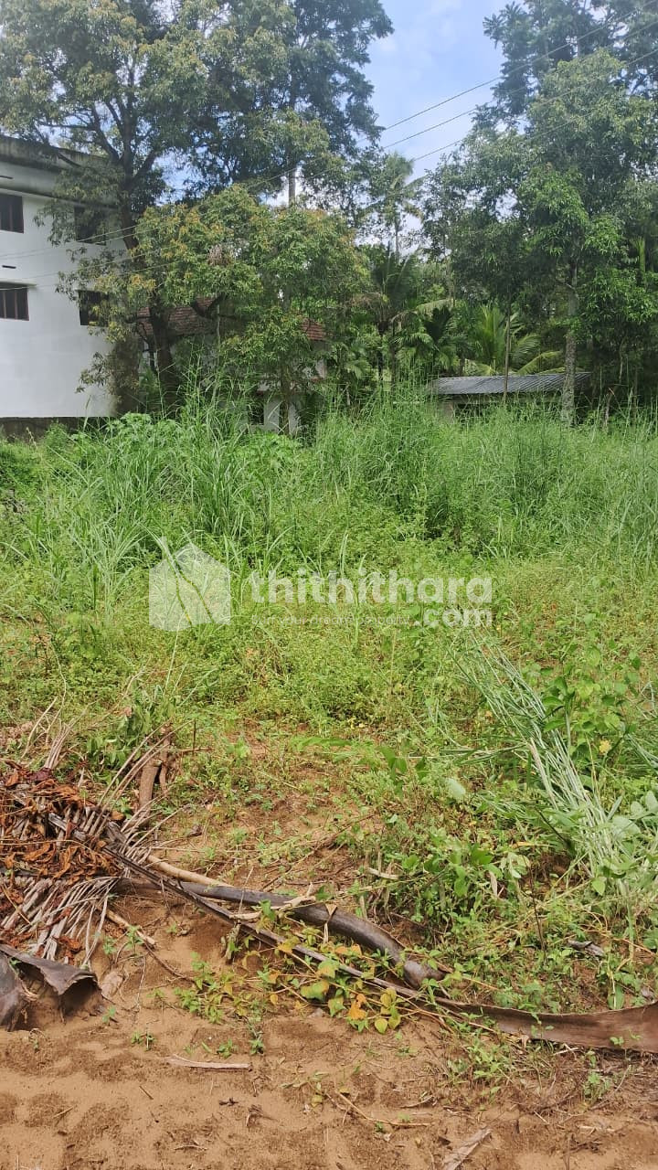 Residential Land Available for Sale at Valapad Thrissur