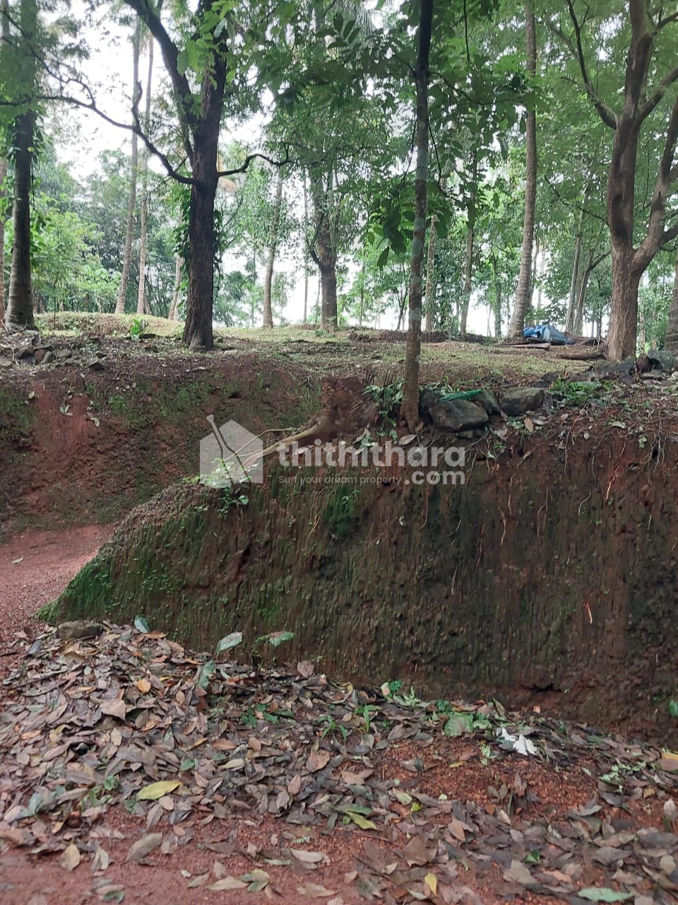 Residential Land Available for Sale in Mannarkad Palakkad
