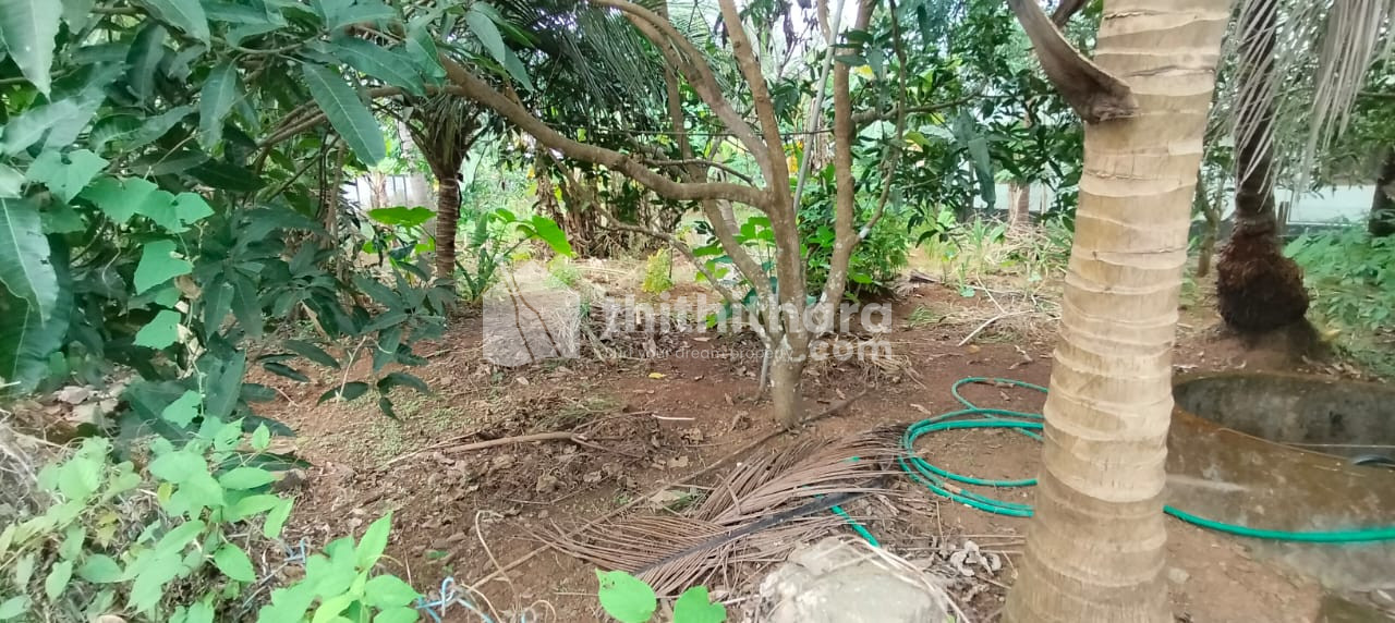 Residential Land Available for Sale in villadam Thrissur