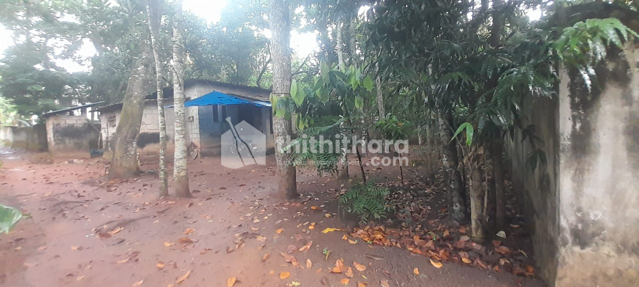 Residential Land available for Sale in Neyyattinkara Thiruvananthapuram