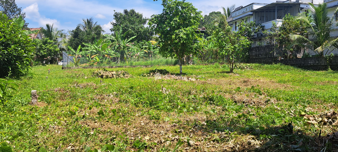 Residential Land available for Sale in Pala Kottayam