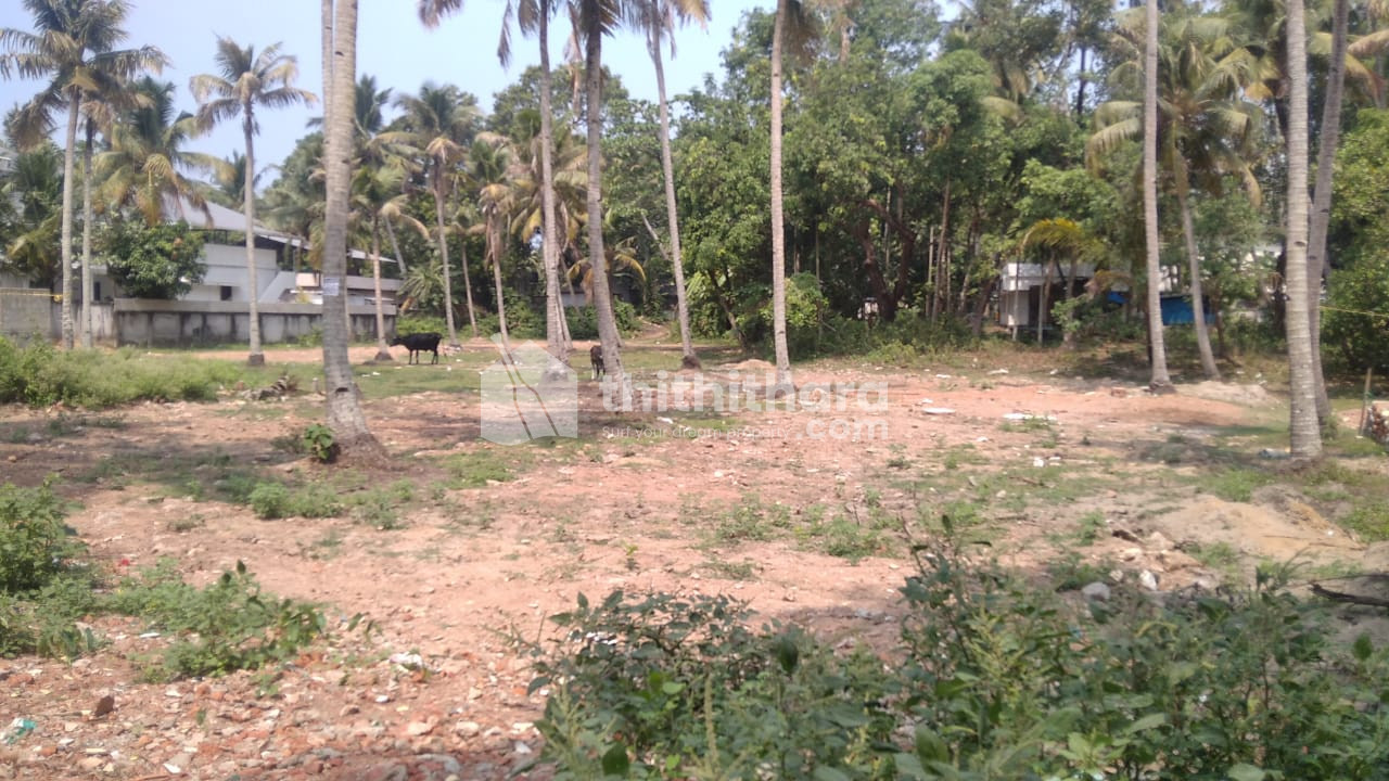 19 cents residential plot for sale in Kollam, Eravipuram