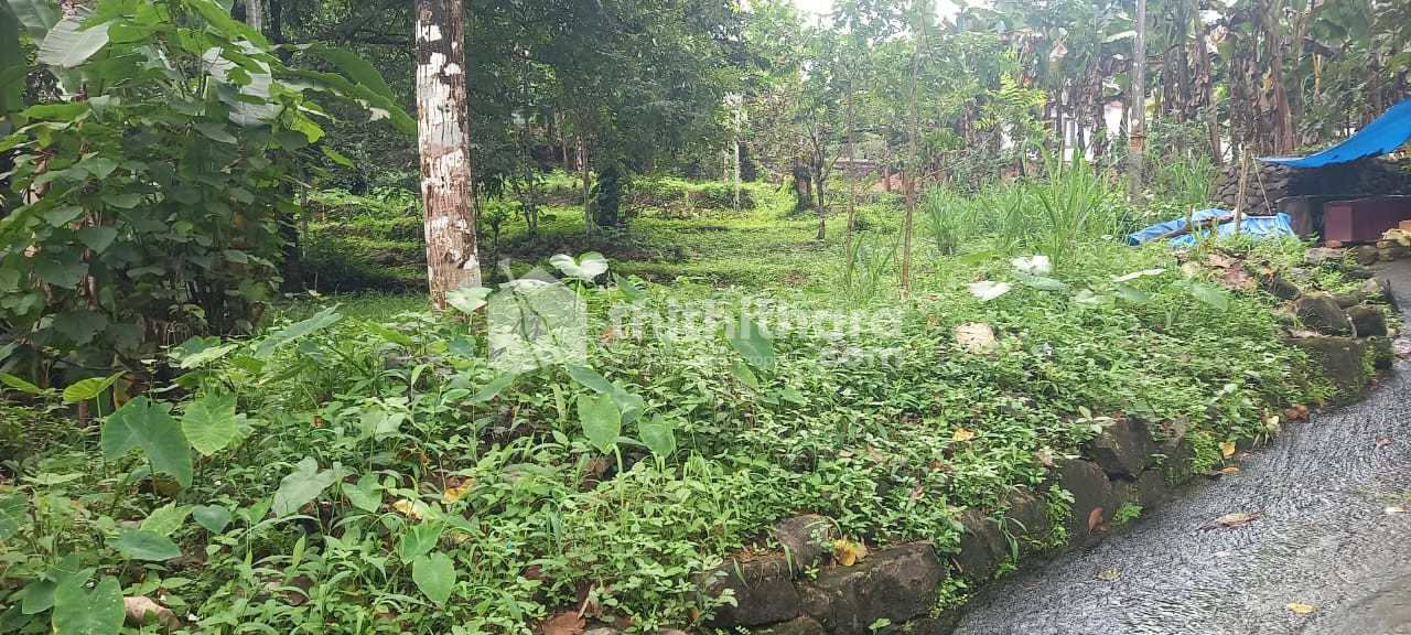 Residential Land Available for Sale in Kanjirappally Kottayam