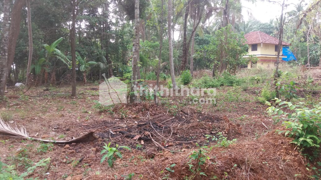 19.85 cent land for sale at Pariyapuram ,Tanur