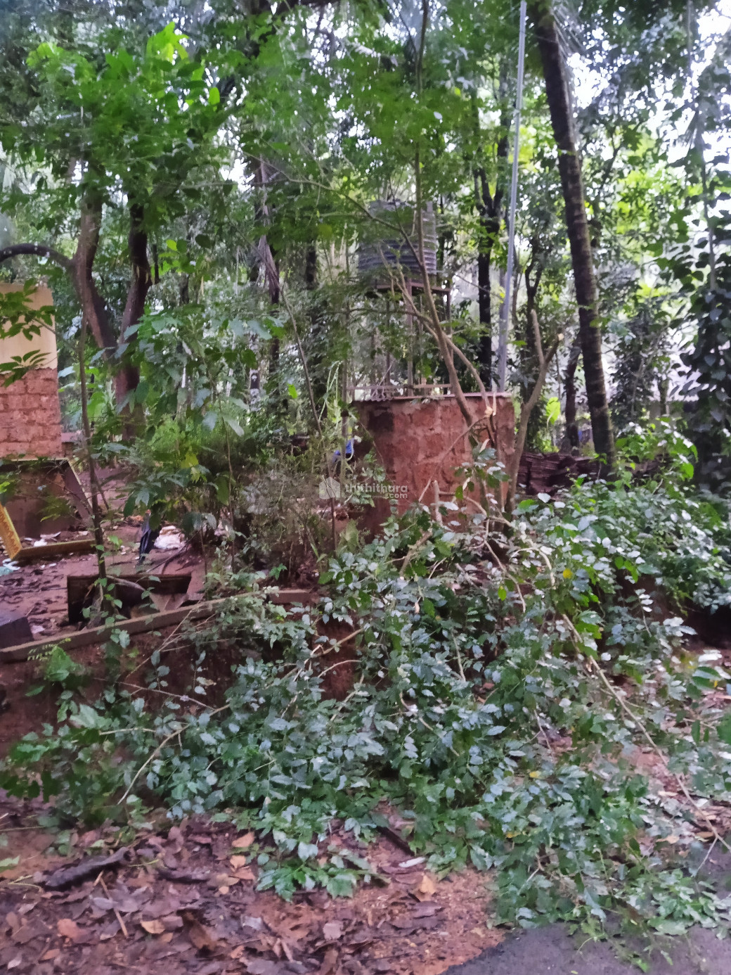 Land for sale in Wandoor- Manjeri rout, Thiruvali 