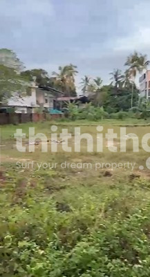 Residential Land available for Sale in Quilandy Kozhikode