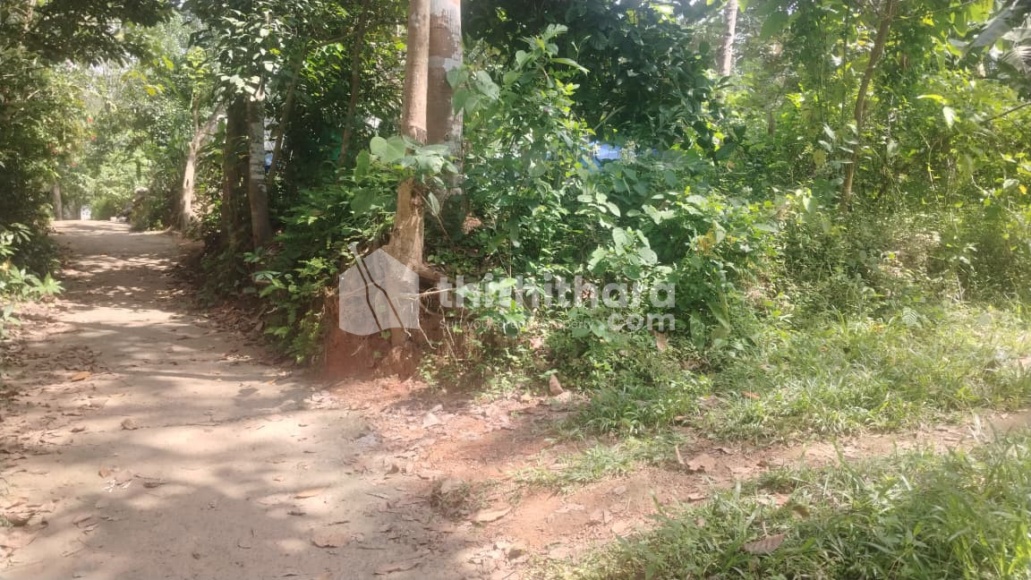 Residential Land Available for Sale in Pathanapuram Kollam