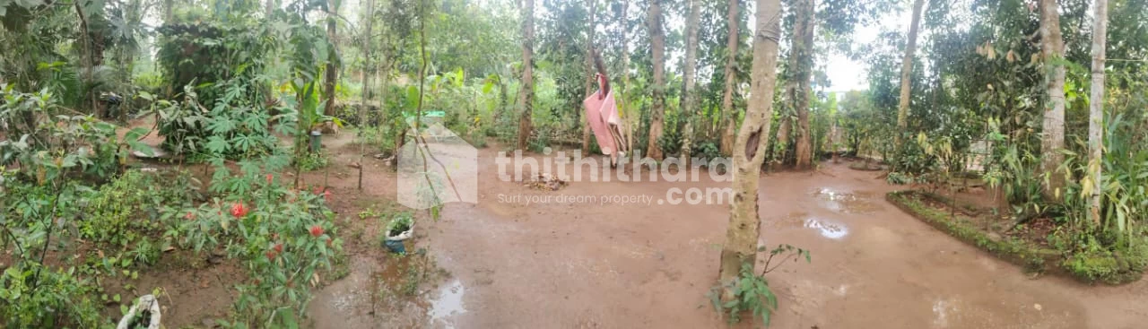 Residential land Fully or partially for sale in Malayidamthuruthu, Aluva