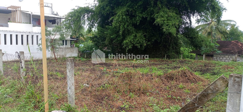 Residential Land Available for Sale in Pallatheri Palakkad