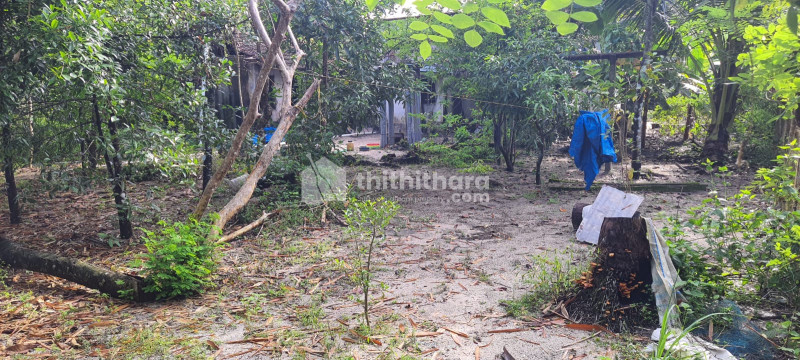 Residential Land Available for Sale in Cherthala Alappuzha