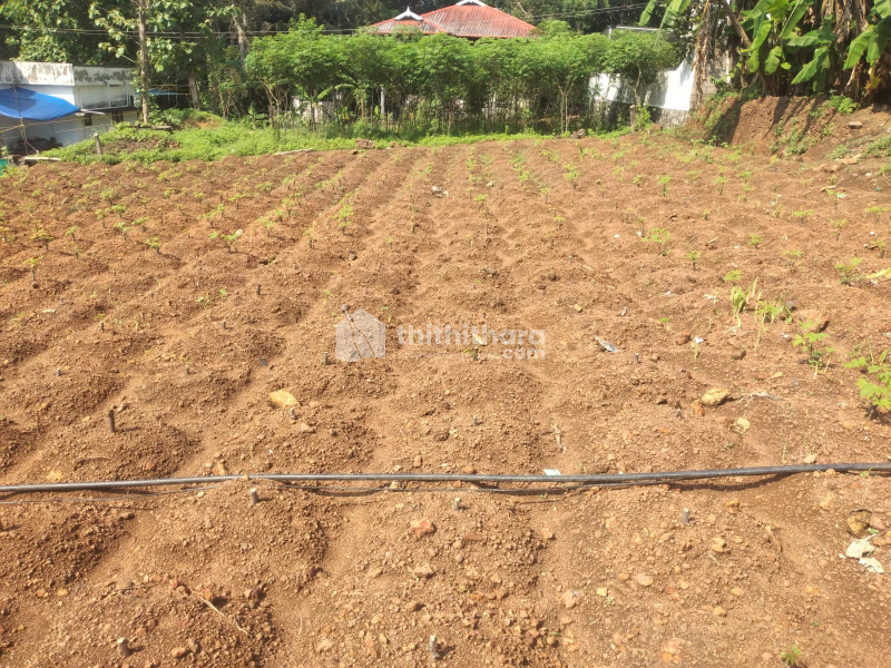 Residential Land Available for Sale in Changanassery Kottayam