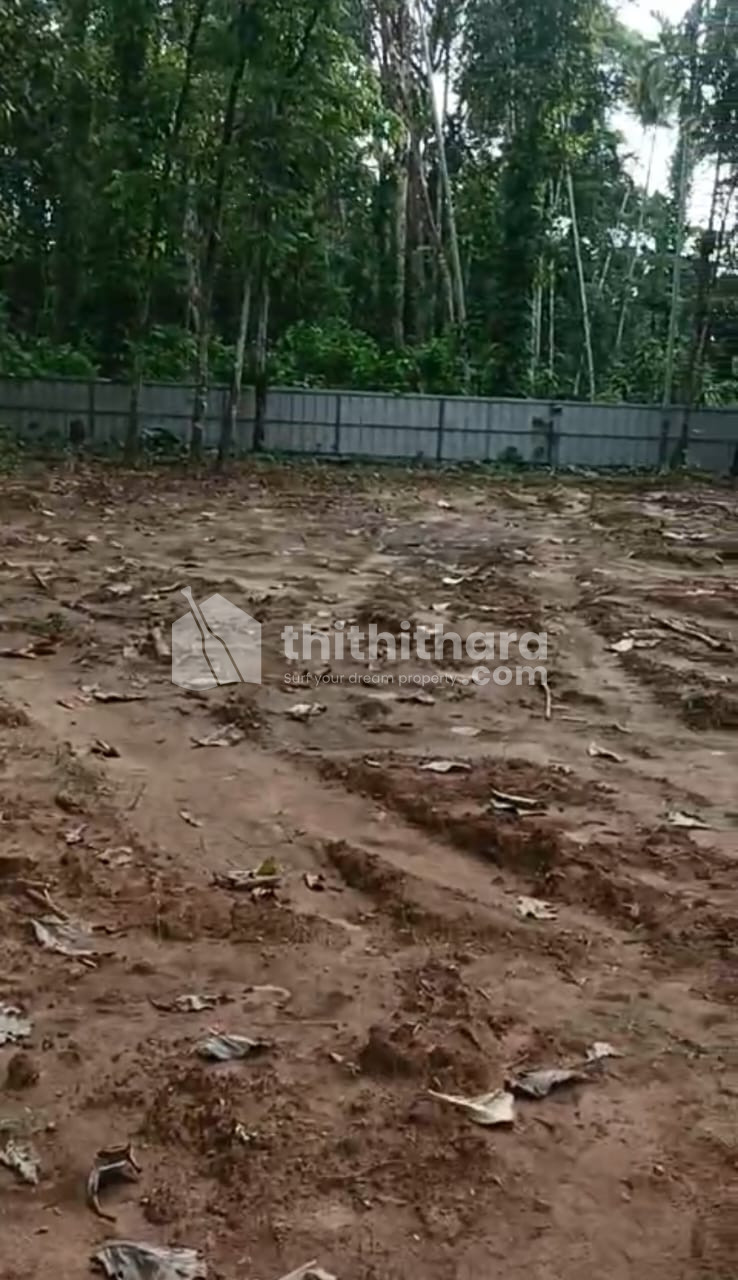 Residential Land available for Sale in Pandanad, Chengannur, Alappuzha