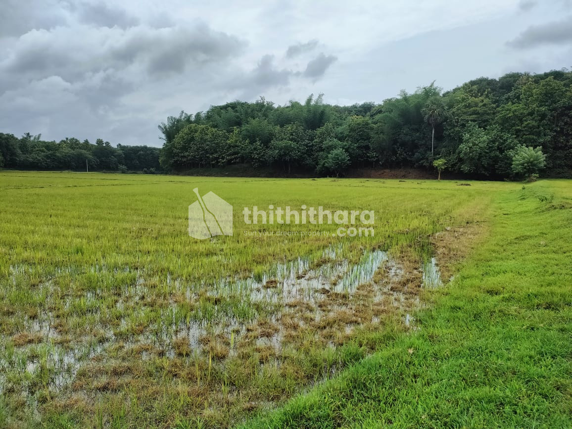 2.5 acre agricultural land for sale 