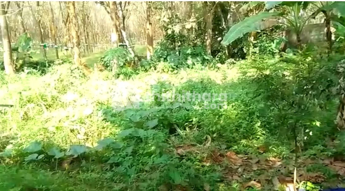 11.3 Cent Land For Sale at Puthenkurish, Ernakulam
