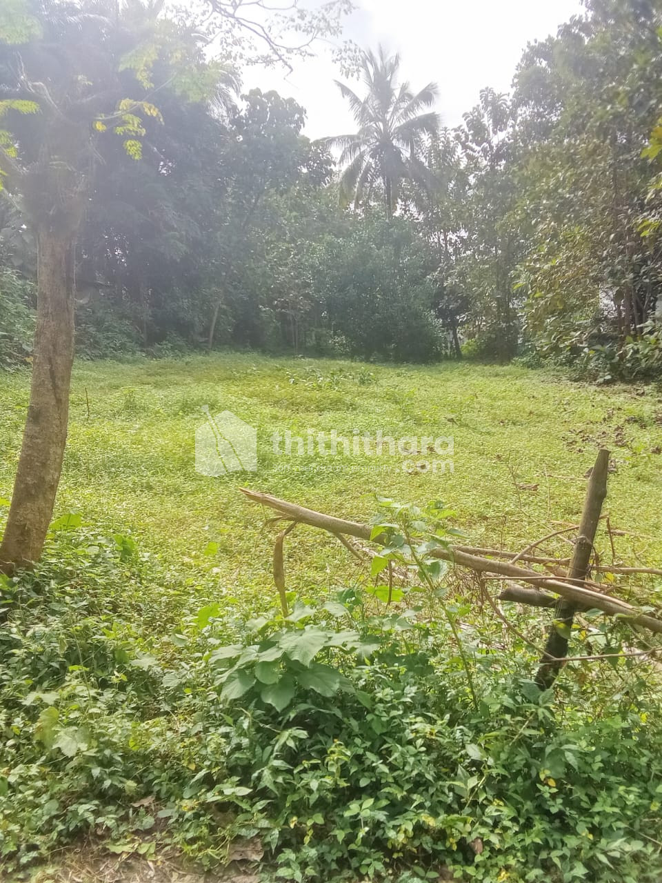 Residential Land Available for Sale In Ottapalam Palakkad