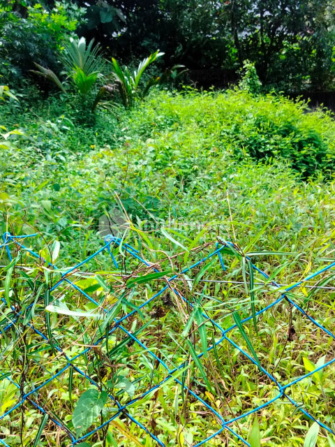10 sent land for sale in Koodal, Adoor