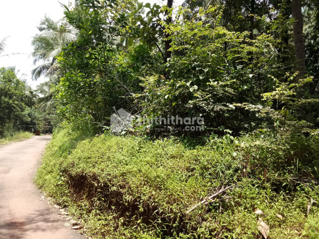 Residentila Land Available for Sale at Eachur Kannur