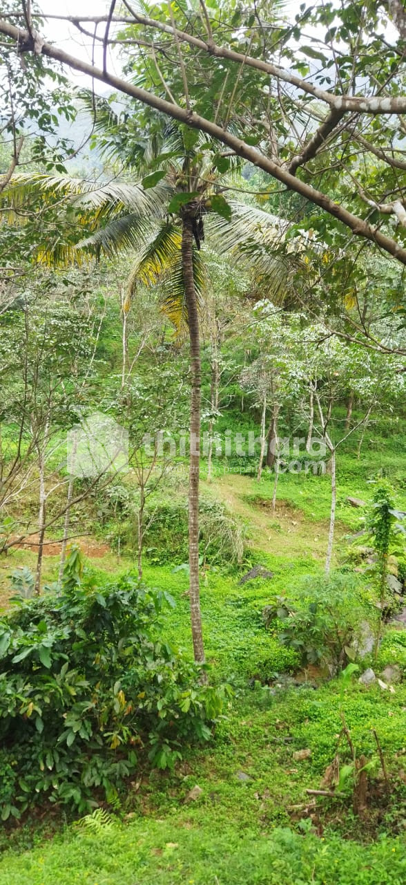 Residential Land available for Sale in Peravoor Kannur