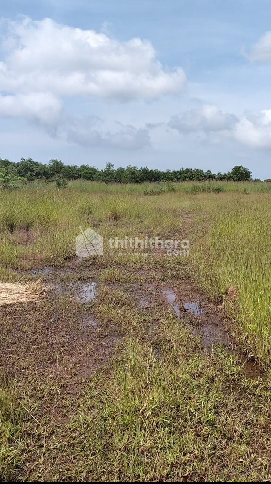 Residential Land available for Sale in Puthige Kasaragod