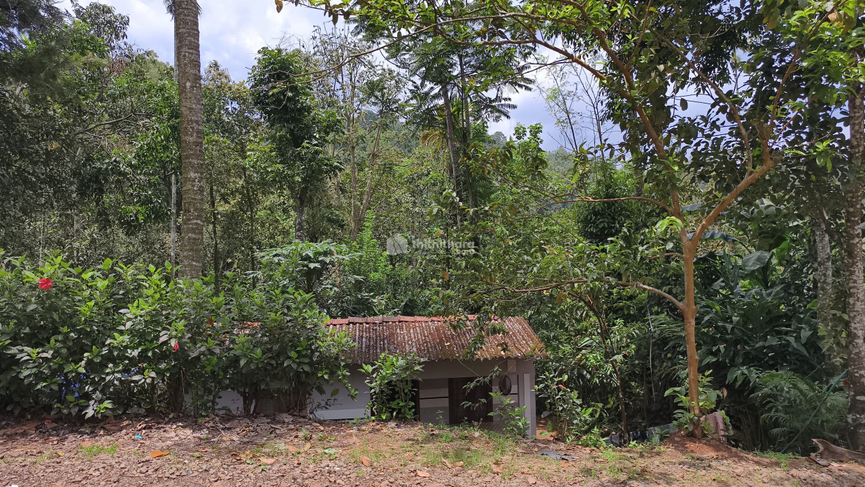 Residential Land Available for Sale in Udumbanchola Idukki