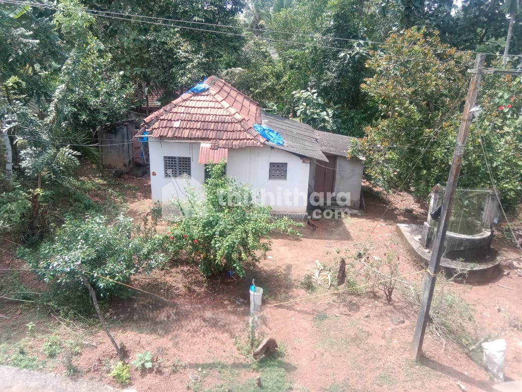 2BHK Independent House Available for Sale in Kottarakkara Kollam