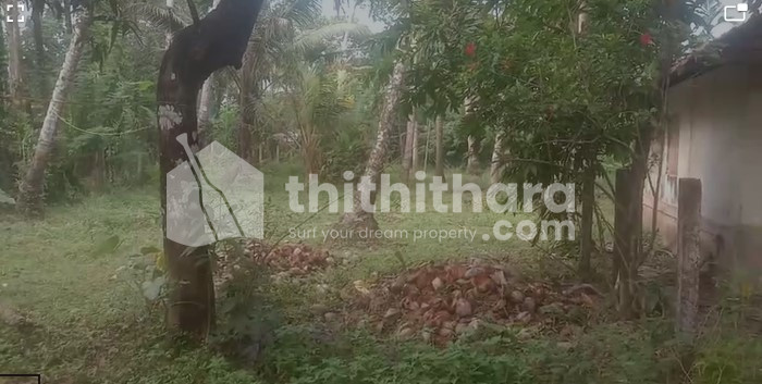Residential Land Available for Sale in Kodungallur Thrissur