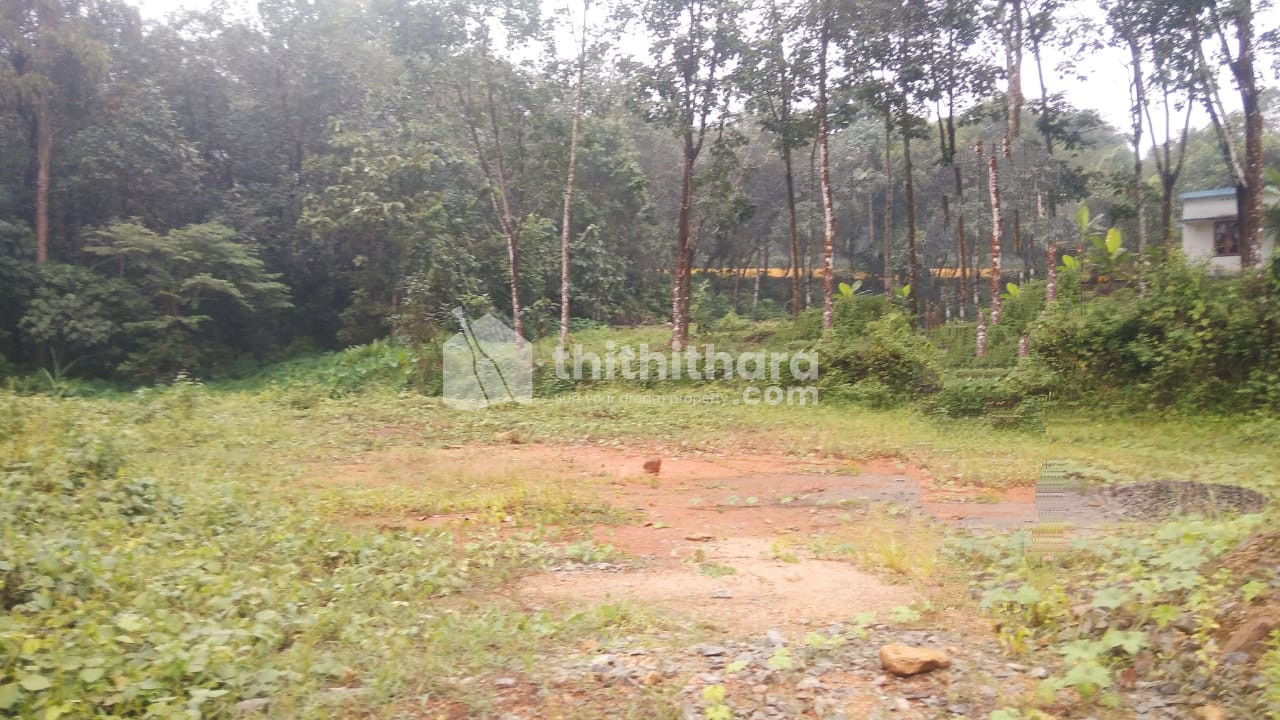 Residential Land available for Sale in Meenachil Kottayam