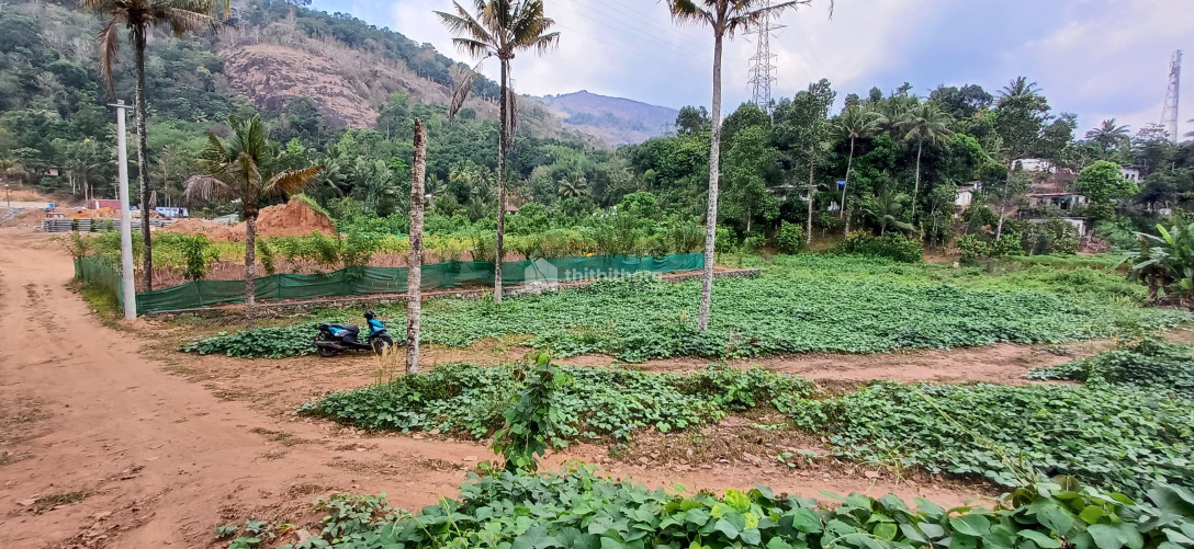 Residential Land available for Sale in Devikulam Idukki