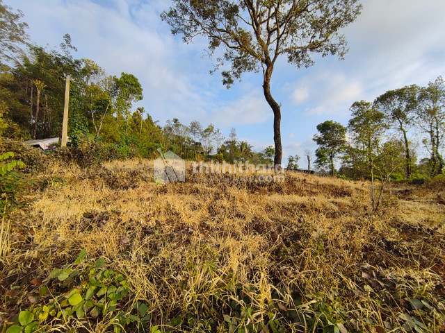 Residential Land available for Sale in Udumbanchola Idukki