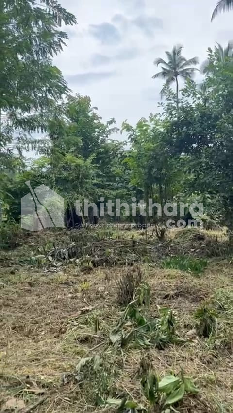 Residential Land Available for Sale at Nilambur Malappuram 