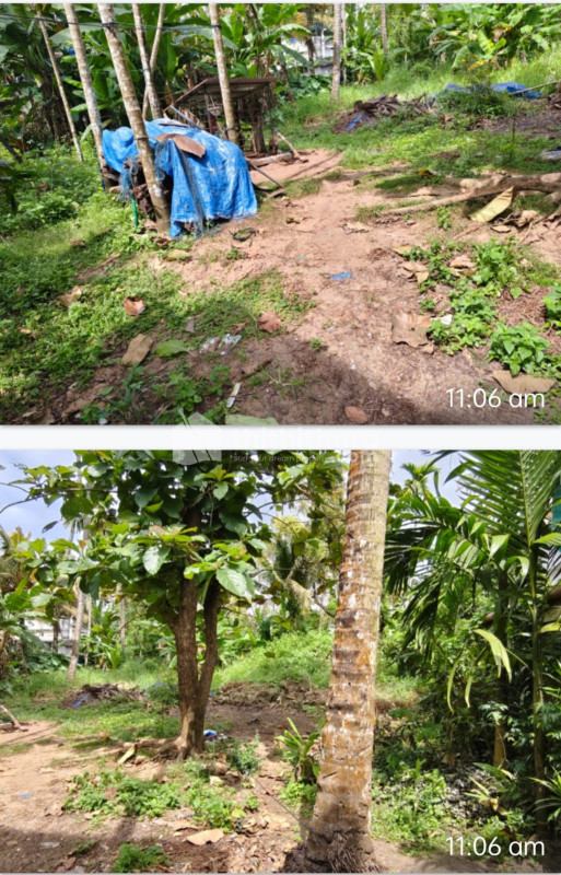 Residential Land Available for Sale in Kodungallur Thrissur
