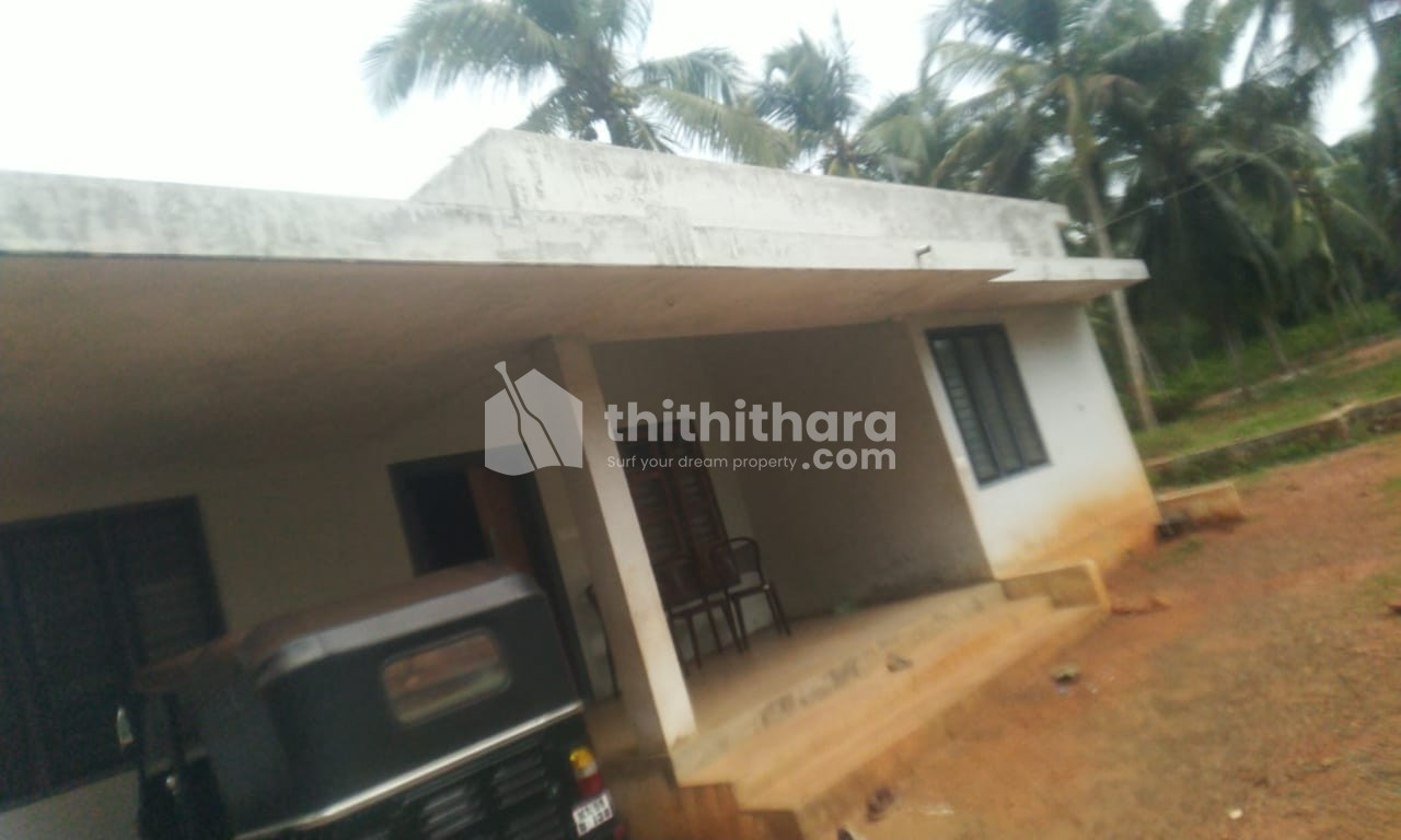 3BHK Independent House Available for Sale in Kondotty Malappuram