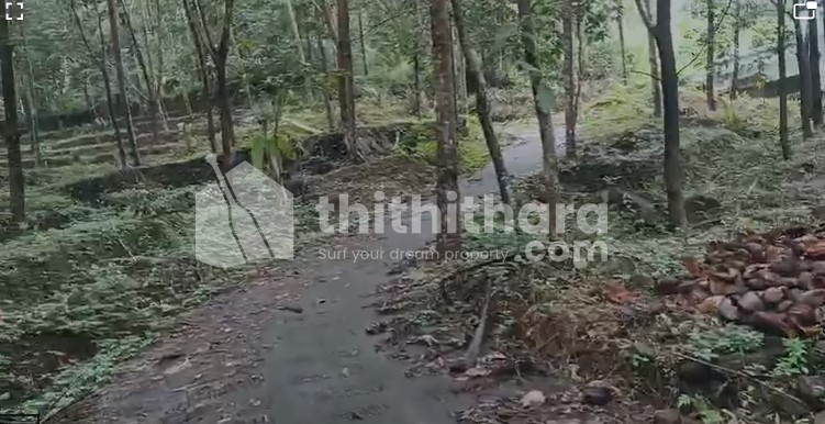 Agricultural Land Available for Sale at Kuttiadi Kozhikode 