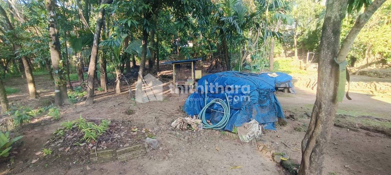 Residential Land available for Sale in Vaniampara, Thrissur City, Thrissur