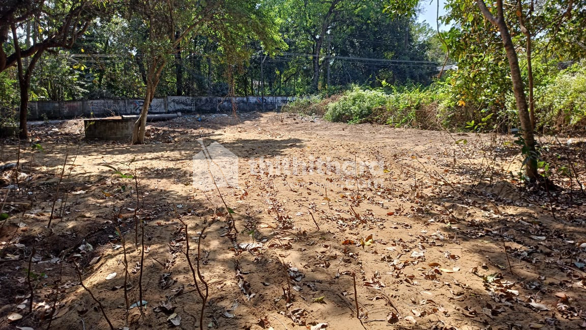 Residential Land Available for Sale in Nattika Thrissur