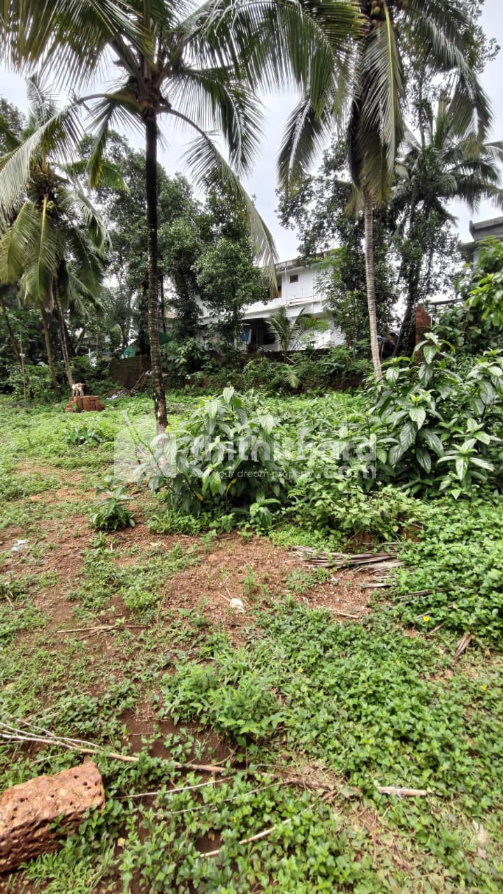 Residential Land available for Sale in Kalliasseri Kannur