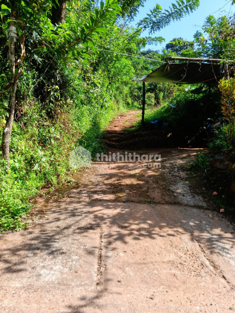 Commercial Plots Available for Sale in Vythiri Wayanad